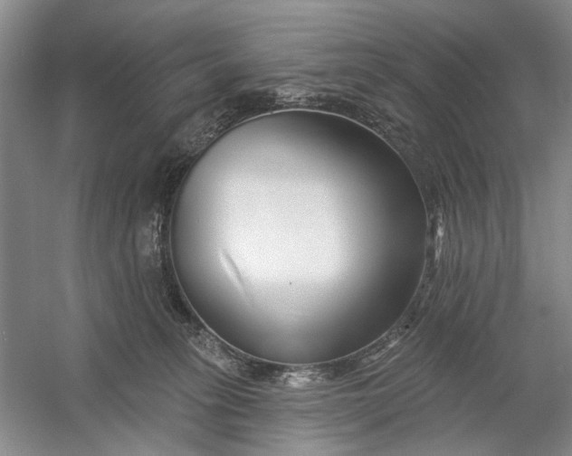 X0000054380275200508191920