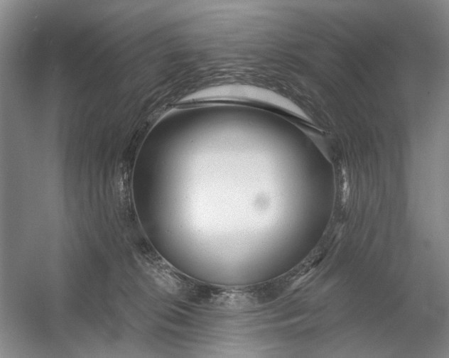 X0000054380276200508191920