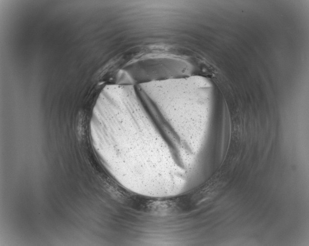 X0000054380277200508191920