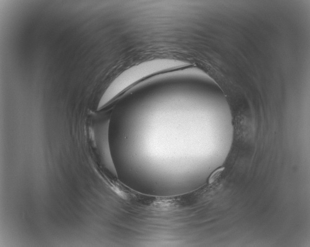 X0000054380280200508191920