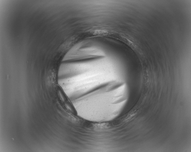 X0000054380281200508191920