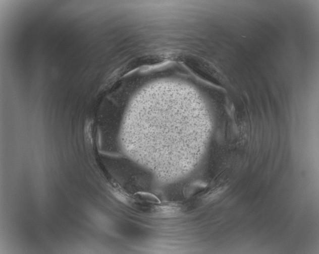 X0000054380286200508191921