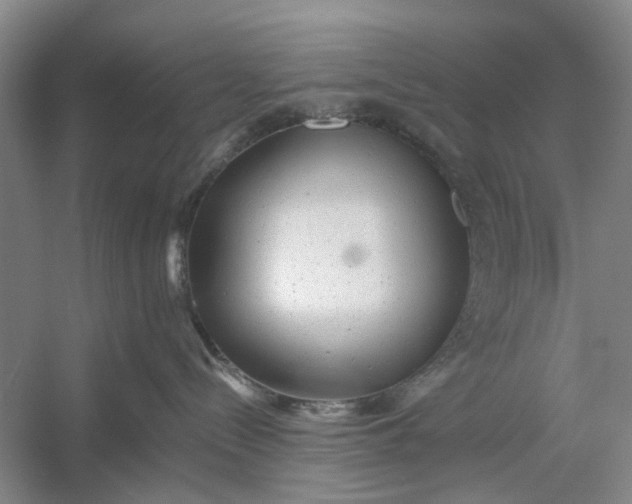 X0000054380288200508191921