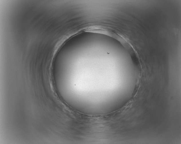 X0000054380289200508191920