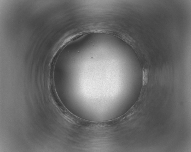 X0000054380291200508191920