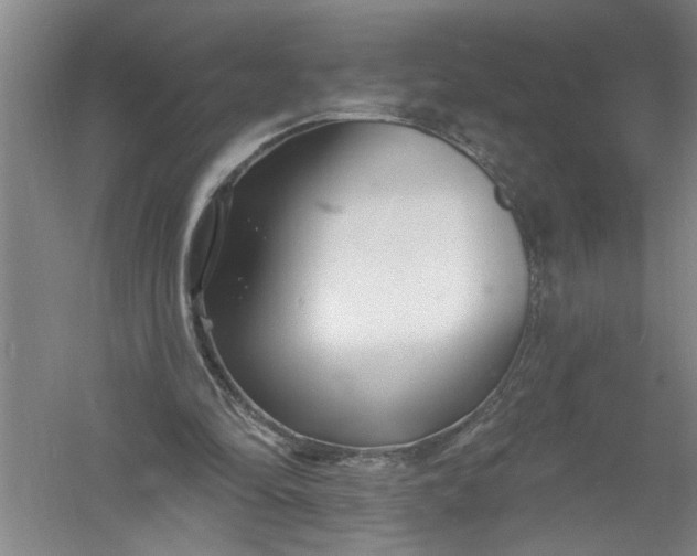 X0000054380294200508191920