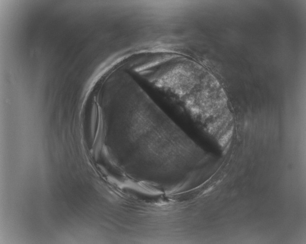 X0000054380295200508191920