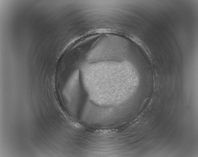 X0000054380297200508191920