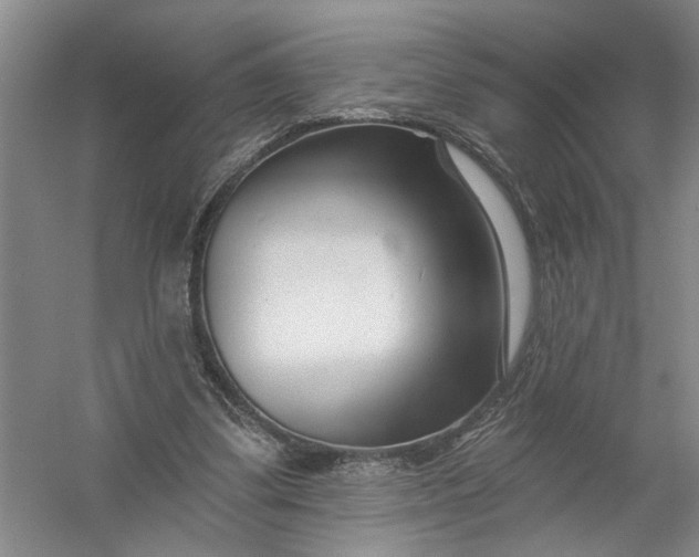 X0000054380299200508191920