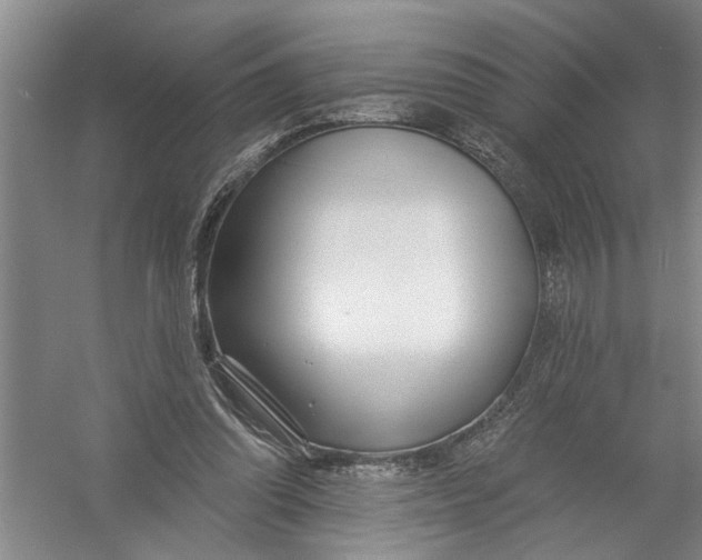 X0000054380302200508191920