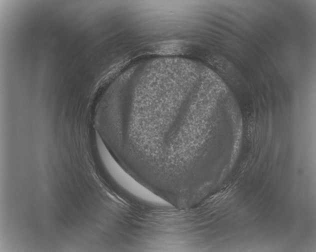 X0000054380303200508191920