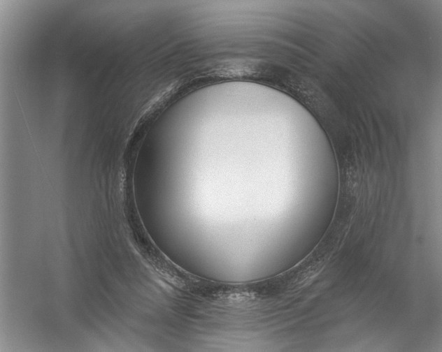 X0000054380304200508191920