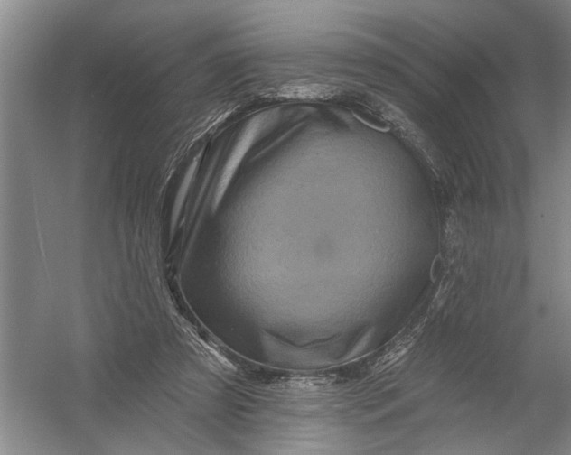 X0000054380305200508191919