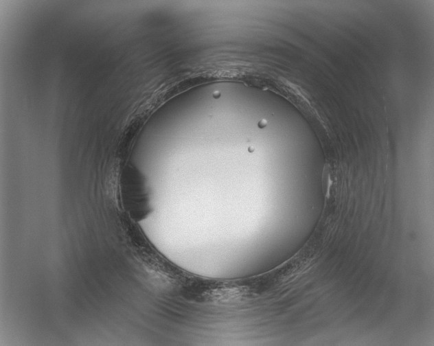 X0000054380307200508191919