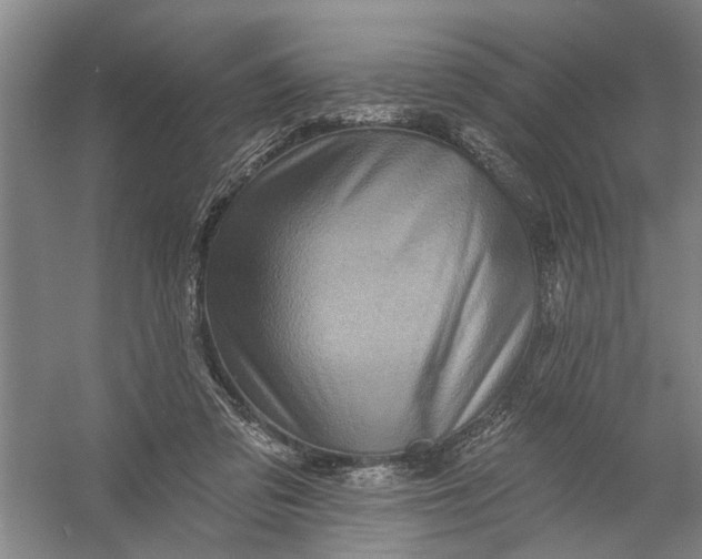 X0000054380309200508191919