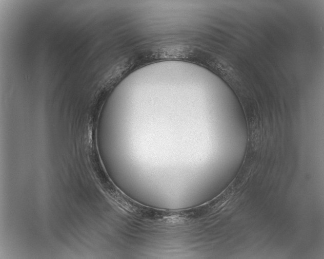 X0000054380310200508191919