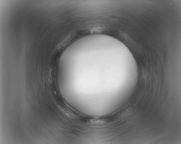 X0000054380311200508191919