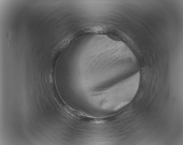 X0000054380313200508191919