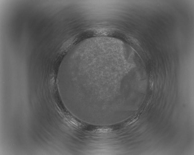 X0000054380314200508191919