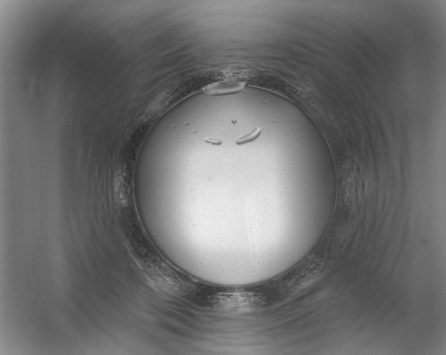 X0000054380316200508191919