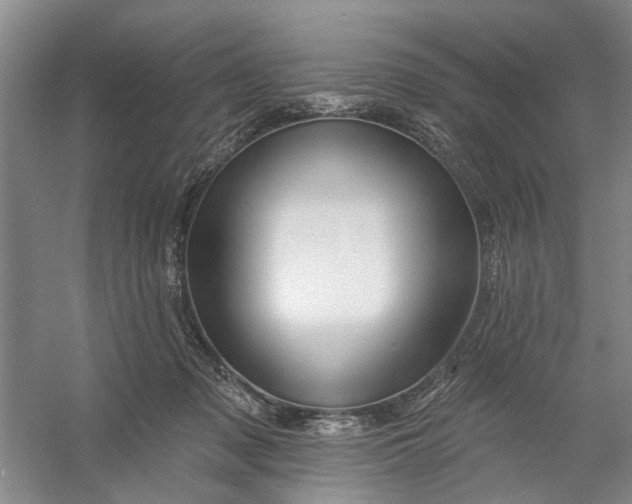 X0000054380317200508191919