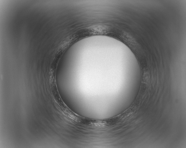 X0000054380318200508191919