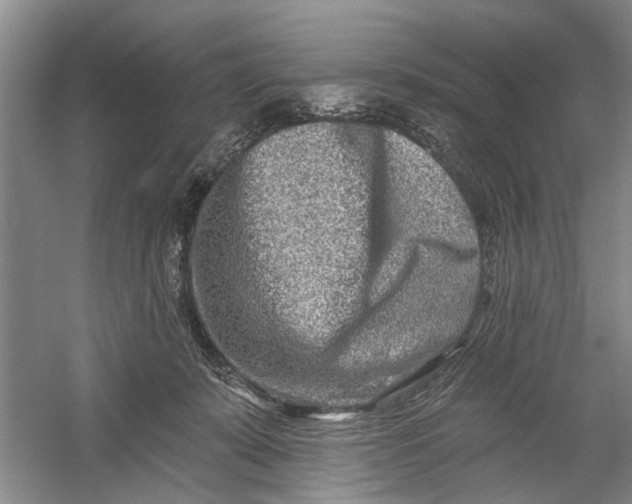 X0000054380319200508191919