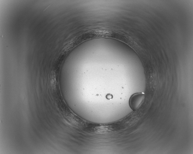 X0000054380320200508191919