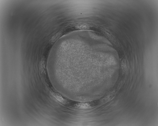 X0000054380322200508191919