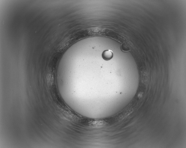 X0000054380324200508191919