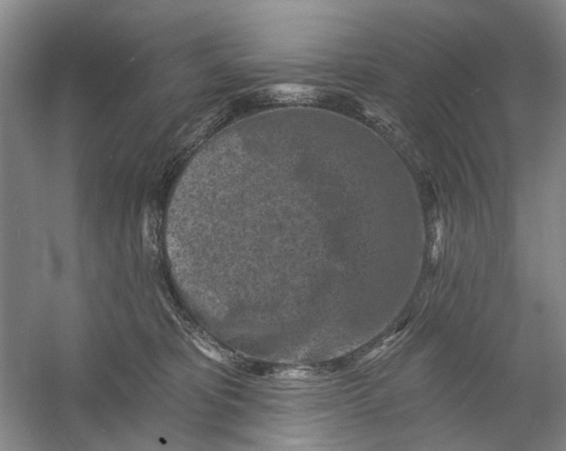 X0000054380325200508191919