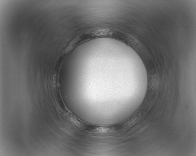 X0000054380326200508191919