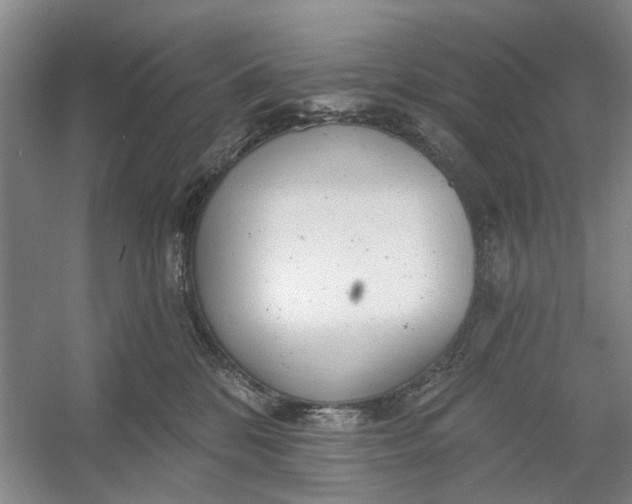 X0000054380328200508191919