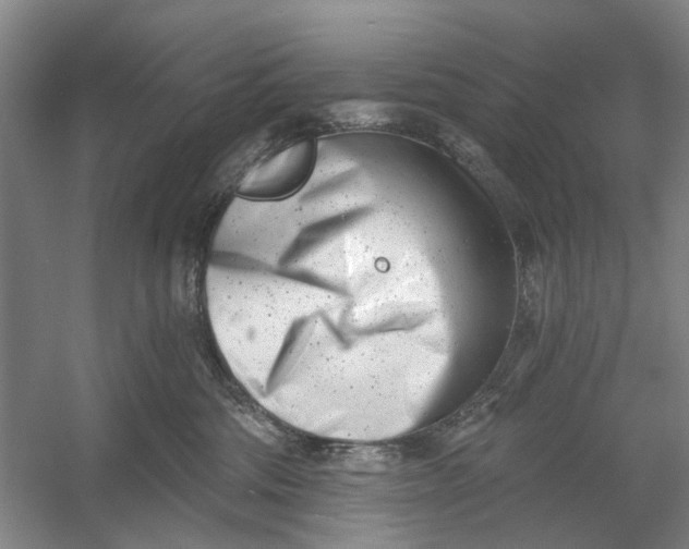 X0000054380330200508191919