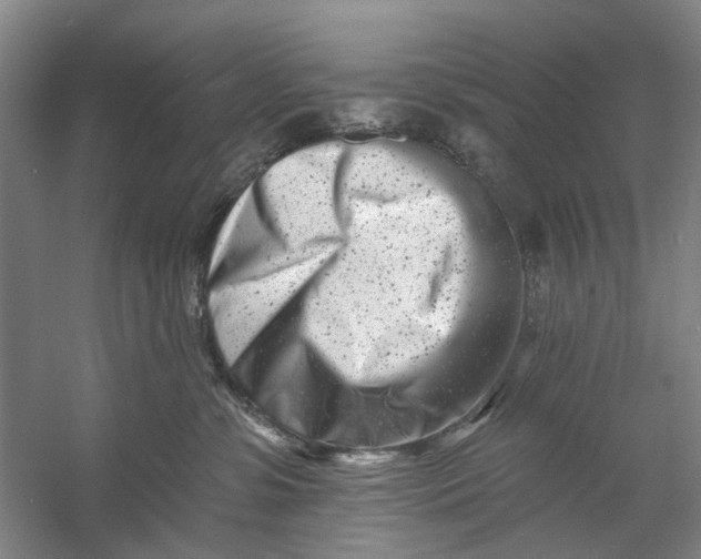 X0000054380331200508191919