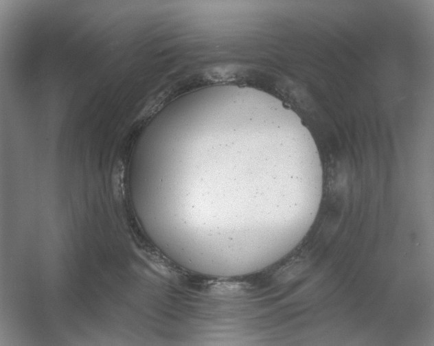 X0000054380332200508191919