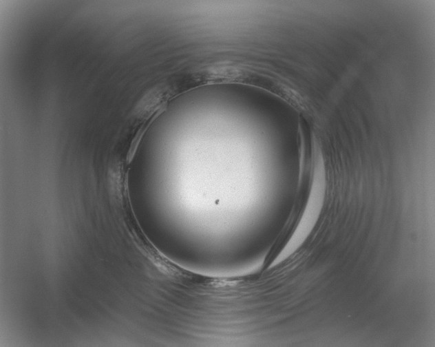 X0000054380333200508191919