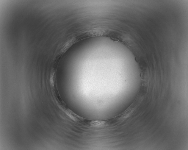 X0000054380334200508191919