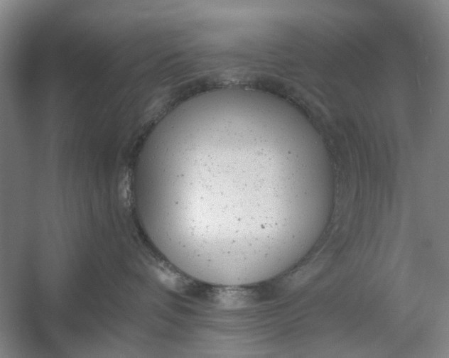 X0000054380336200508191919