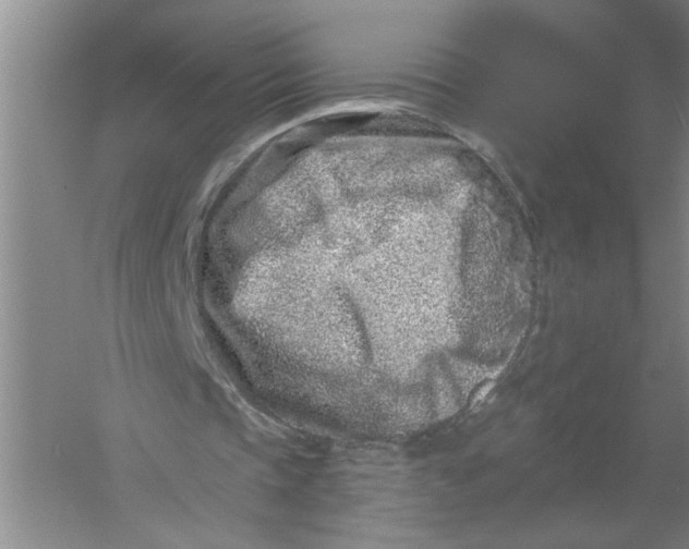 X0000054380337200508191918