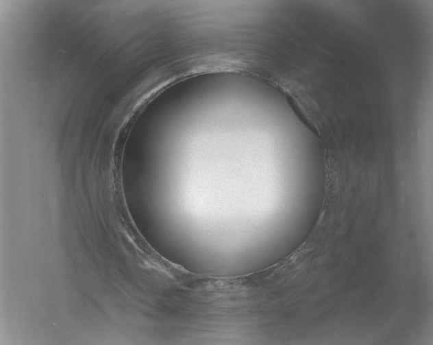 X0000054380338200508191918