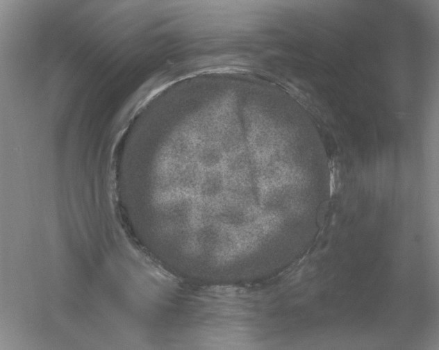 X0000054380339200508191918