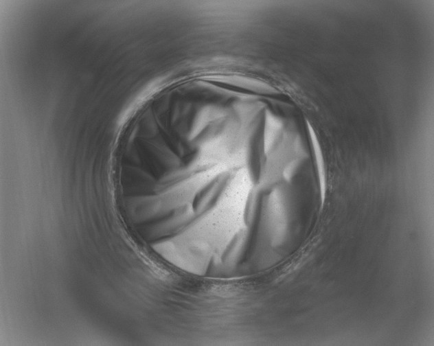 X0000054380341200508191918