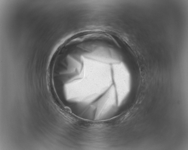 X0000054380342200508191918