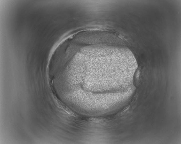 X0000054380343200508191918