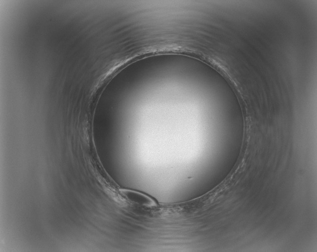 X0000054380345200508191918