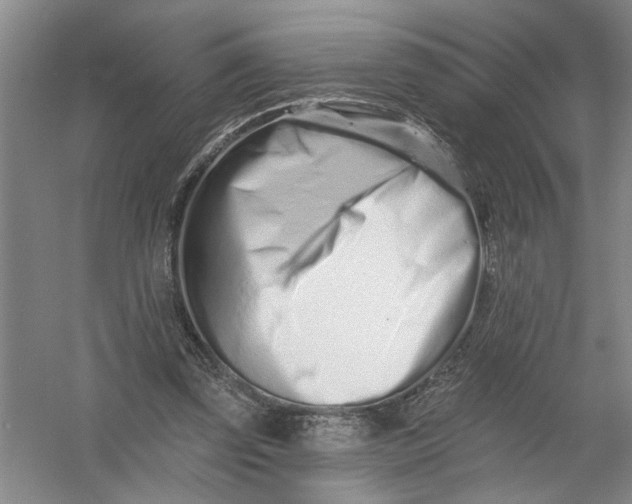 X0000054380347200508191918