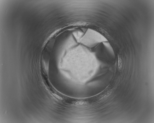 X0000054380348200508191918