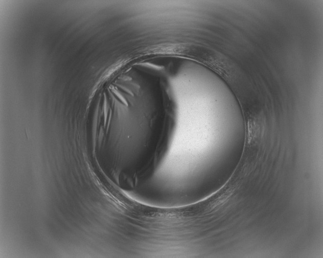 X0000054380349200508191918