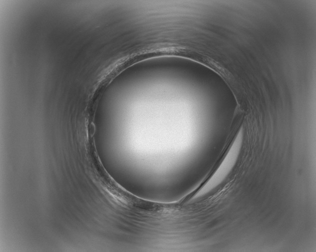 X0000054380350200508191918